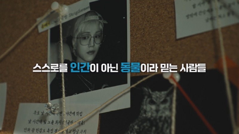 보도용 사진 (1) 보이넥스트도어 정규 1집 리패키지_스페셜 리포트 비디오 티저 영상 갈무리.jpg